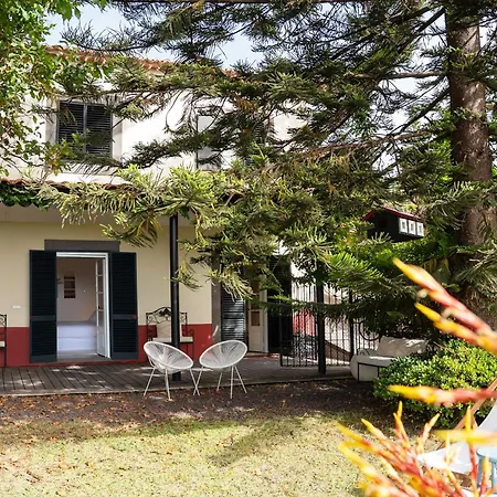 Wisteria * فونشال