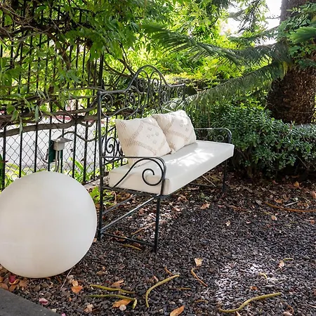 Wisteria فونشال