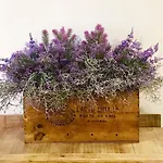 Wisteria 빌라 *