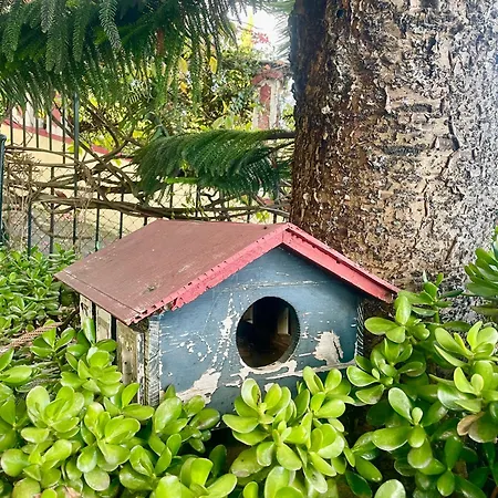 Wisteria Villa