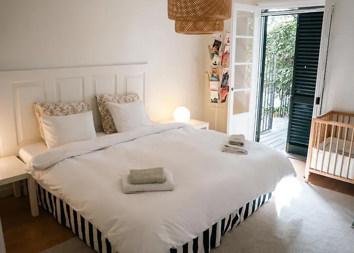 Wisteria Funchal (Madeira)