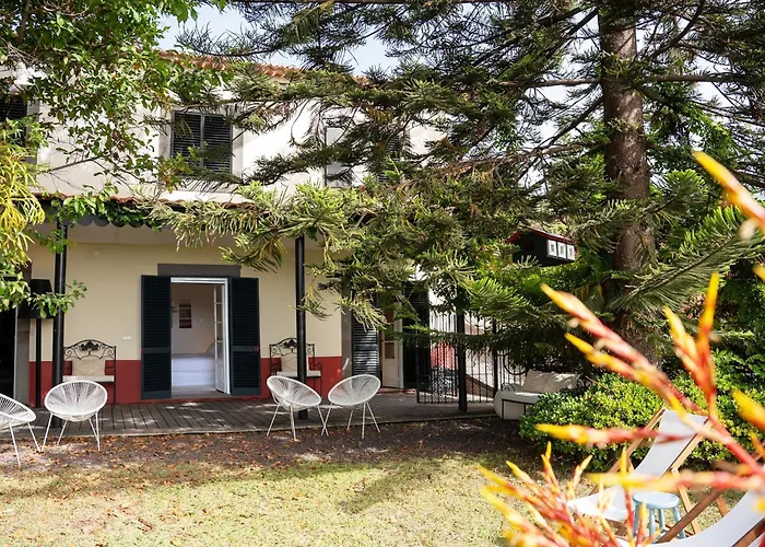 Wisteria * Funchal (Madeira)