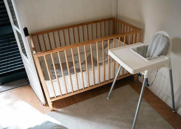 Wisteria * Funchal (Madeira)