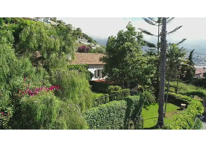 Wisteria Villa Funchal (Madeira)