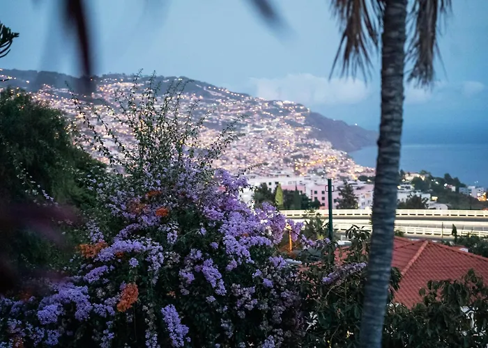 Wisteria Villa Funchal (Madeira)