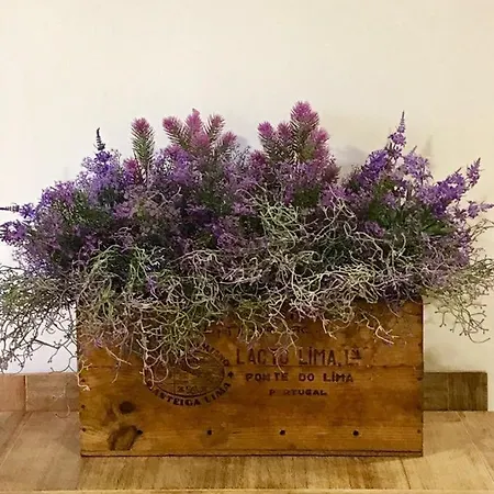 Villa Wisteria *