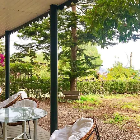 Villa Wisteria