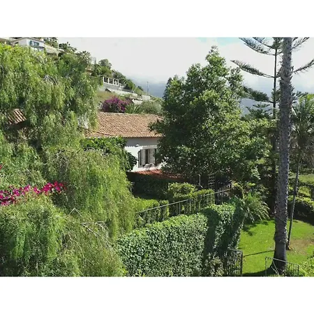 Wisteria Villa Funchal