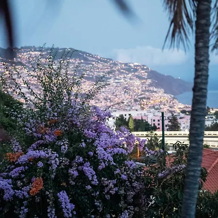 Wisteria Villa Funchal
